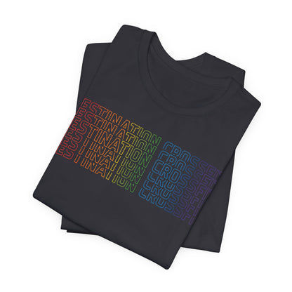 DCF Pride Outline